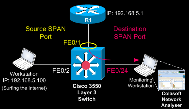 cisco-switches-span-2